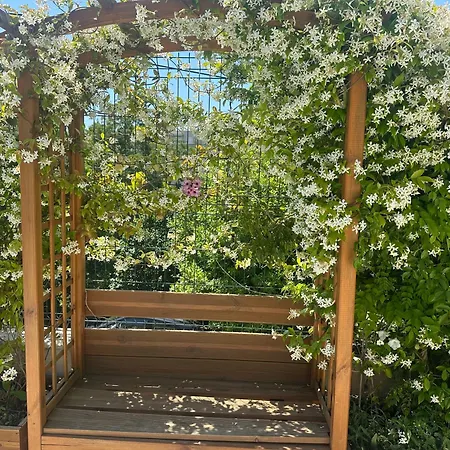 ヴィラ Paradis - *