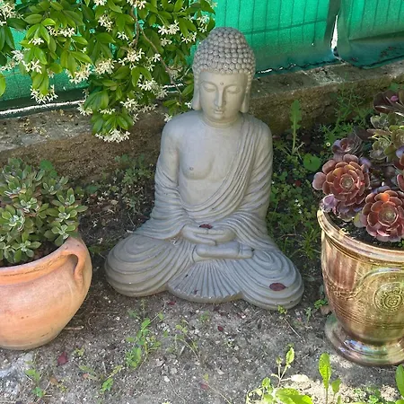 Villa Paradis - Cannes